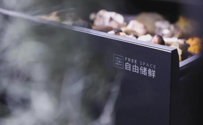 zoty中欧体育全站中国高端化途径这条关于厨房(图5)